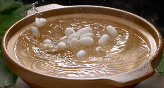 White silkworm cocoons boiling in hot water, softening sericin for traditional silk reeling — Silkyhaus natural mulberry silk raw material processing